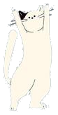 Dance Therapy Cat