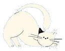 Movement Therapy Cat